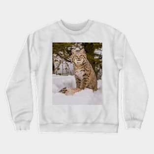 Bobcat with Rabbit 4x5 Crewneck Sweatshirt